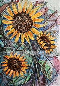 sunflowers_1